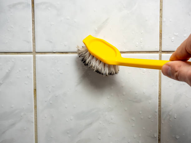 Best Mold Testing  in San Joaquin, CA