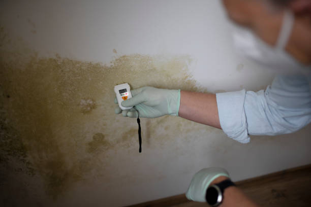 Best Emergency Mold Removal  in San Joaquin, CA