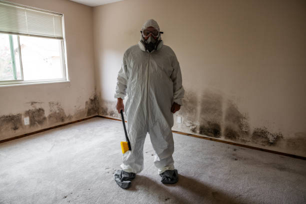 Best Attic Mold Removal  in San Joaquin, CA